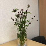 素敵なお花、ありがとうございます。