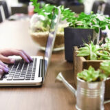 違う畑で偶然に！